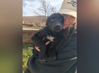 BIKE sucht seine Herzmenschen❤️