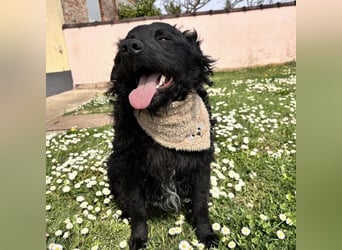 Niok der hübscheste, aber nicht fotogen