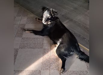 Lori ein absoluter Schatz