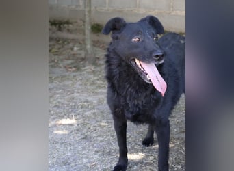Gea eine schwarze Kämpferin