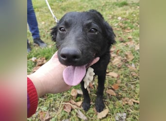 Maki ein sportlicher Schatz