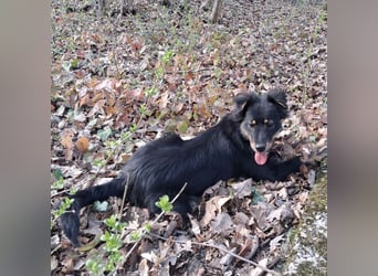 Lori ein absoluter Schatz