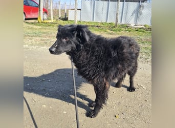 Miko braucht Sicherheit, Liebe und Geborgenheit