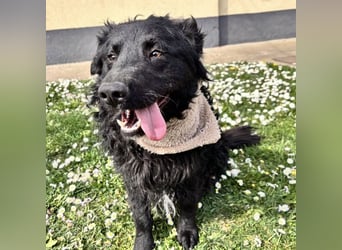 Niok der hübscheste, aber nicht fotogen