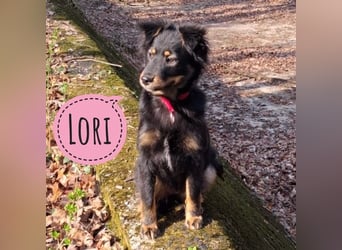 Lori ein absoluter Schatz