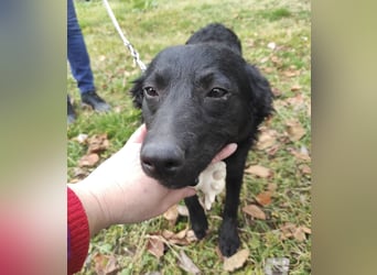 Maki ein sportlicher Schatz