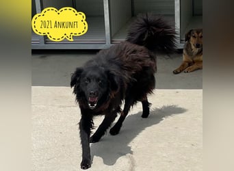 Miko braucht Sicherheit, Liebe und Geborgenheit