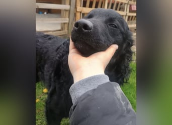 Teddy wartet auf seine Menschen