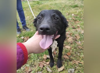 Maki ein sportlicher Schatz