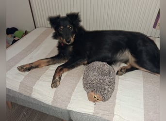 Lori ein absoluter Schatz