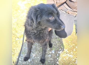 Miko braucht Sicherheit, Liebe und Geborgenheit