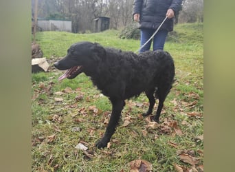 Maki ein sportlicher Schatz