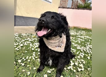 Niok der hübscheste, aber nicht fotogen