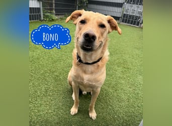 Bono sucht besonderen Menschen