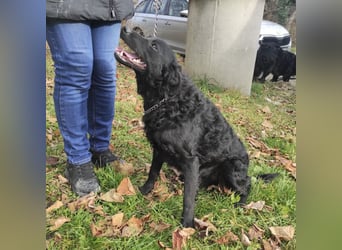 Maki ein sportlicher Schatz