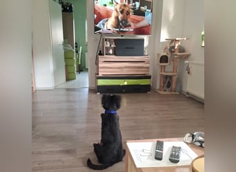 Lori ein absoluter Schatz