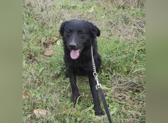 Maki ein sportlicher Schatz