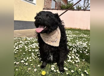 Niok der hübscheste, aber nicht fotogen