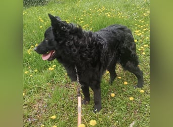 Teddy wartet auf seine Menschen