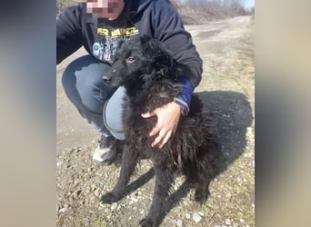 Miko braucht Sicherheit, Liebe und Geborgenheit