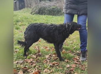 Maki ein sportlicher Schatz