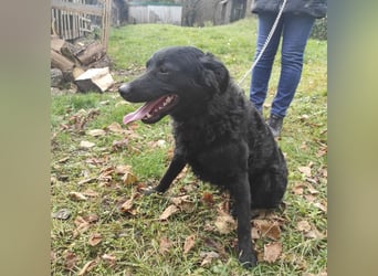 Maki ein sportlicher Schatz