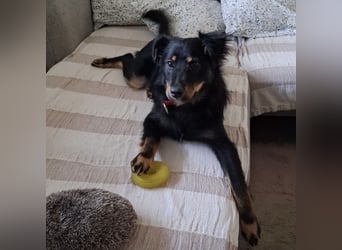 Lori ein absoluter Schatz