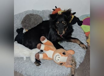 Lori ein absoluter Schatz