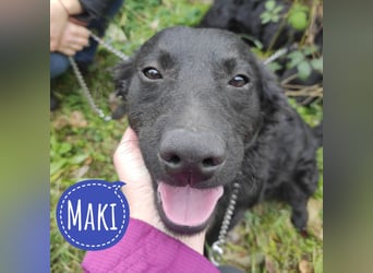 Maki ein sportlicher Schatz