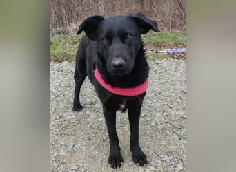 liebenswerte ASYA❤️wartet bereits in 36179 Bebra