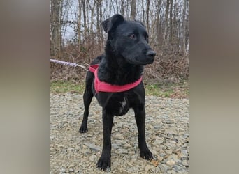 liebenswerte ASYA❤️wartet bereits in 36179 Bebra