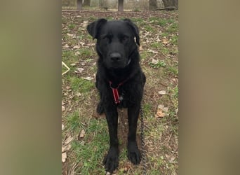 liebenswerte ASYA❤️wartet bereits in 36179 Bebra