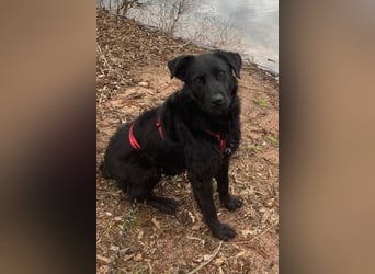 liebenswerte ASYA❤️wartet bereits in 36179 Bebra