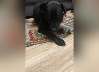 liebenswerte ASYA❤️wartet bereits in 36179 Bebra