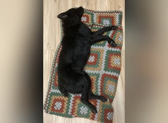 liebenswerte ASYA❤️wartet bereits in 36179 Bebra