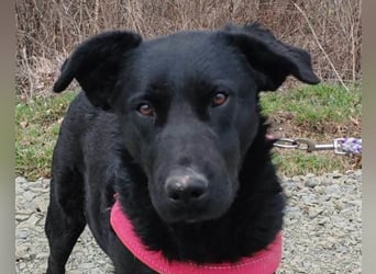 liebenswerte ASYA❤️wartet bereits in 36179 Bebra