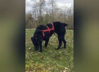 liebenswerte ASYA❤️wartet bereits in 36179 Bebra