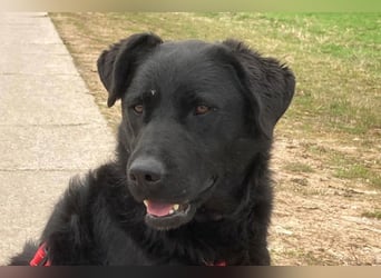 liebenswerte ASYA❤️wartet bereits in 36179 Bebra