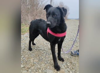 liebenswerte ASYA❤️wartet bereits in 36179 Bebra