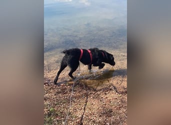 liebenswerte ASYA❤️wartet bereits in 36179 Bebra