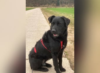 liebenswerte ASYA❤️wartet bereits in 36179 Bebra