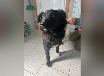 Zuckersüße Rea sucht ihre Herzensmenschen