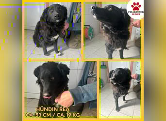 Zuckersüße Rea sucht ihre Herzensmenschen