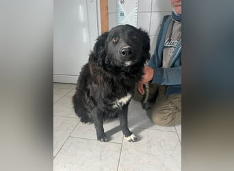 Zuckersüße Rea sucht ihre Herzensmenschen