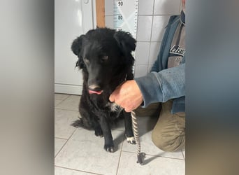 Zuckersüße Rea sucht ihre Herzensmenschen