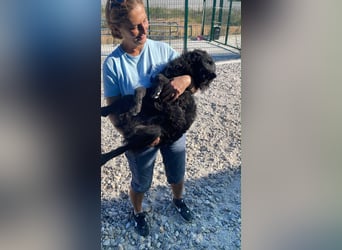 Sportlicher Enzo sucht sein Glück ❤️