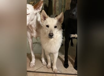 Oliver ❤️ wartet in 31621 Pennigsehl auf deinen Besuch