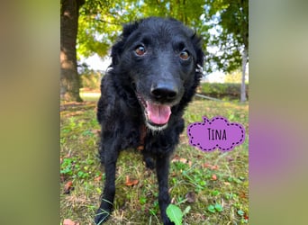 Tina eine Freundin fürs Leben