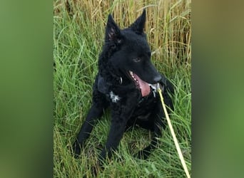 Chuck verliert sein Zuhause