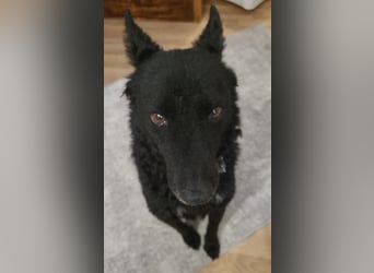 Chuck verliert sein Zuhause